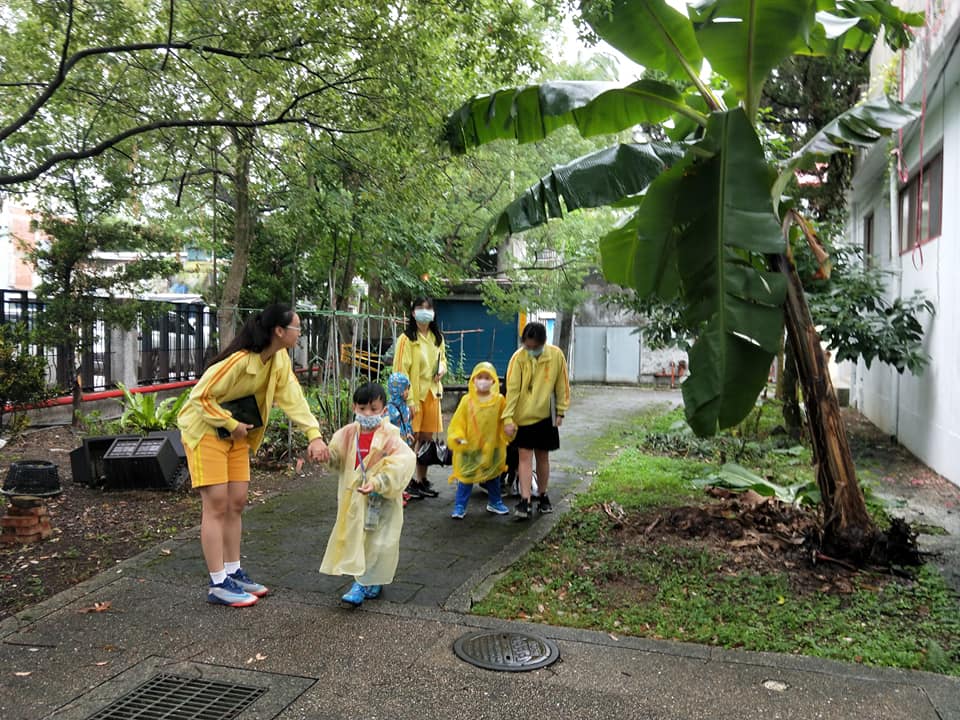 景女美術課與文山區幼兒園-認識植物覽導覽4