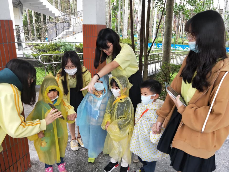 景女美術課與文山區幼兒園-認識植物覽導覽7