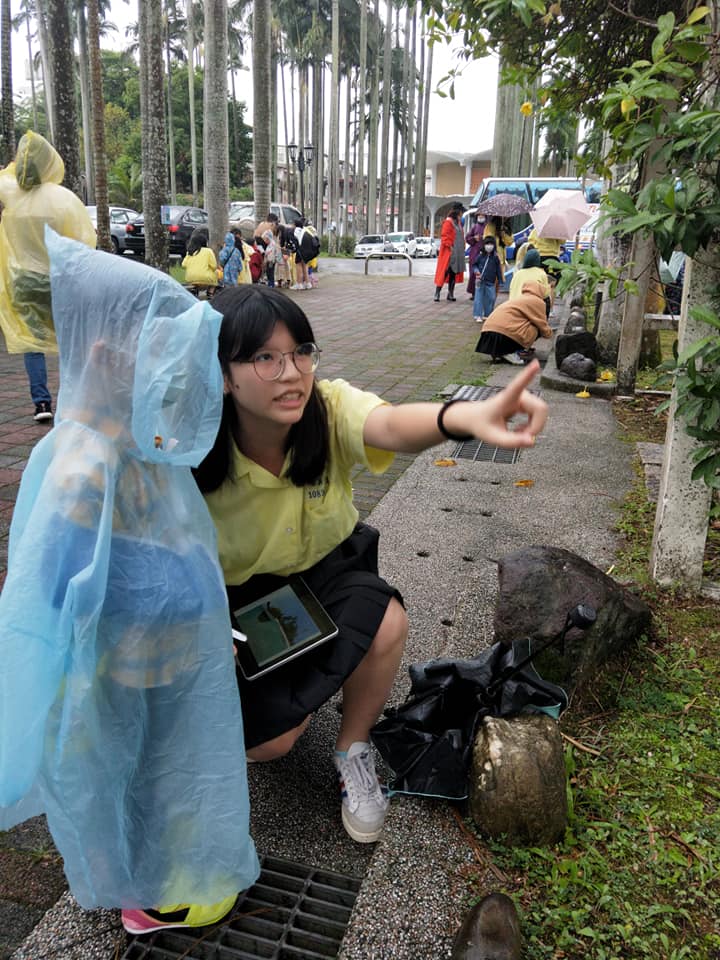 景女美術課與文山區幼兒園-認識植物覽導覽9