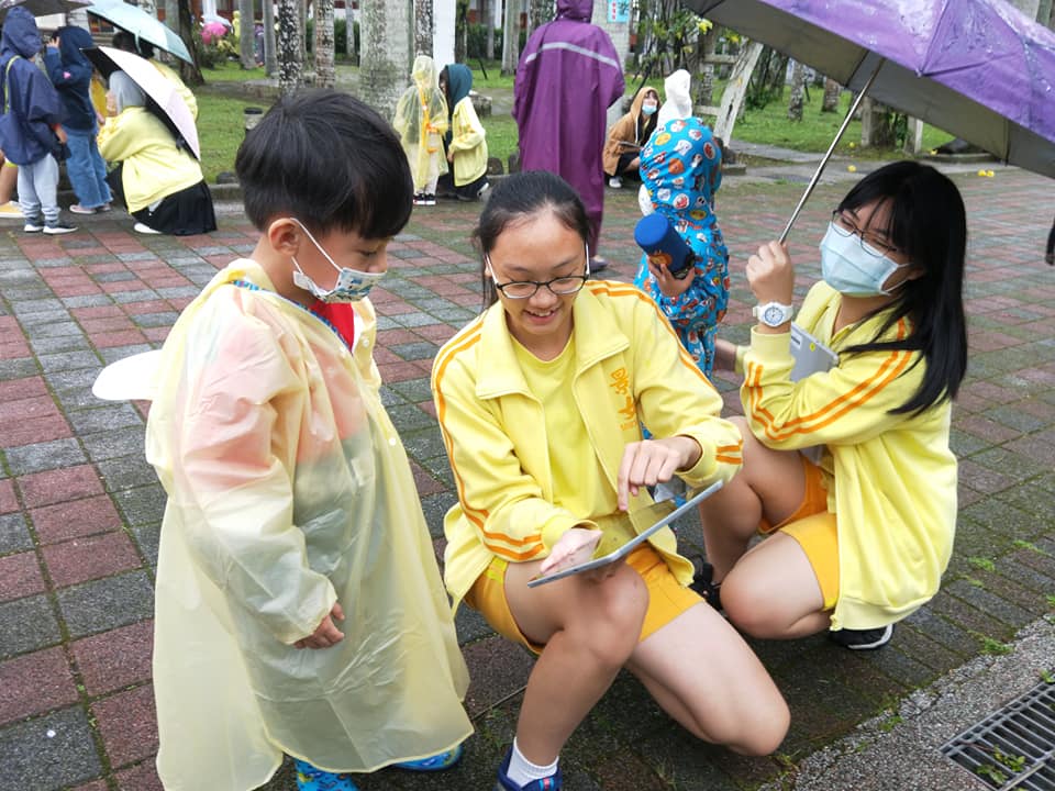 景女美術課與文山區幼兒園-認識植物覽導覽8